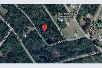 126 Roebuck Street, Georgetown, FL 32139 - Photo 1