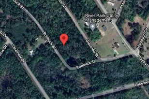 126 Roebuck St, Georgetown, FL 32139 - Photo 1