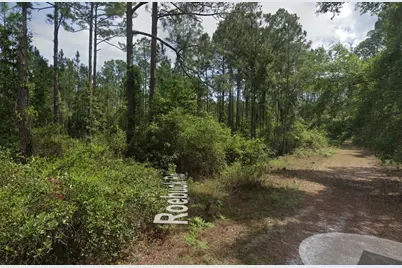 126 Roebuck Street, Georgetown, FL 32139 - Photo 3