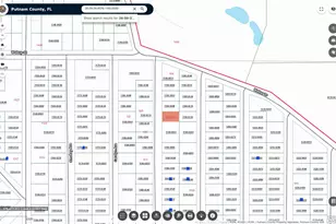 924 Lenore Ave, Interlachen, FL 32148 - Photo 21