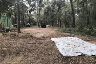 924 Lenore Ave, Interlachen, FL 32148 - Photo 19