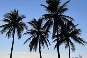 1830 W Meadows Circle, Boynton Beach, FL 33436 - Photo 39