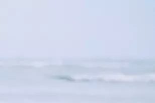 1422 W Meadows Circle, Boynton Beach, FL 33436 - Photo 37