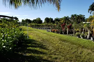 14375 Okeechobee Blvd, Loxahatchee Groves, FL 33470 - Photo 3