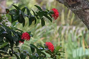 16559 Rustic Rd, Wellington, FL 33470 - Photo 77