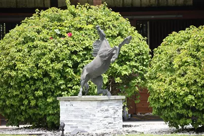 16559 Rustic Road, Wellington, FL 33470 - Photo 11