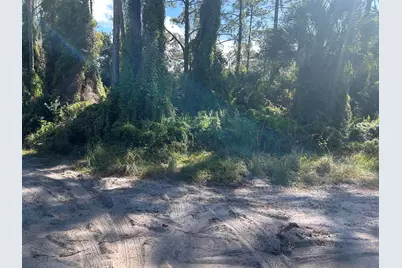0 Slash Pine Trail, Fort Pierce, FL 34945 - Photo 1