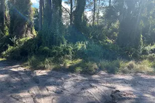 0 Slash Pine Trail, Fort Pierce, FL 34945 - Photo 1