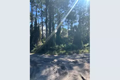 0 Slash Pine Trail, Fort Pierce, FL 34945 - Photo 3