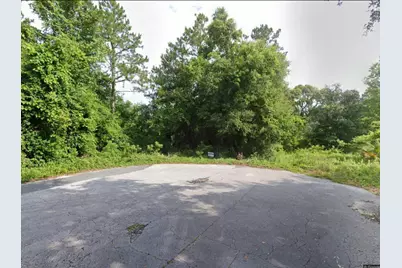 102 SW Green Acres Way, Lake City, FL 32024 - Photo 3