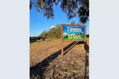 7451 E Derby Oaks Drive, Floral City, FL 34436 - Photo 3