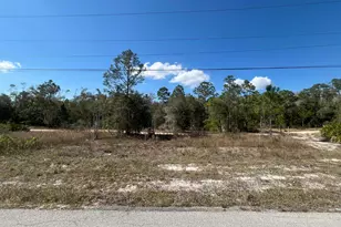 494 Burrstone Dr, Lehigh Acres, FL 33974 - Photo 1