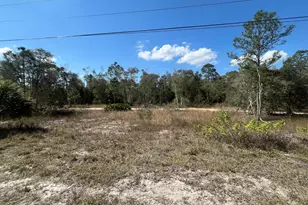 494 Burrstone Dr, Lehigh Acres, FL 33974 - Photo 3