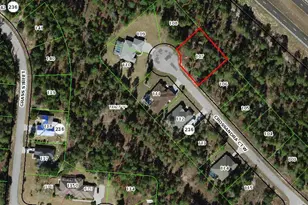 11 Crossandra Ct W, Homosassa, FL 34446 - Photo 1