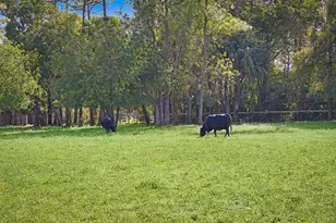 2454/2376 E Rd, Loxahatchee Groves, FL 33470 - Photo 39