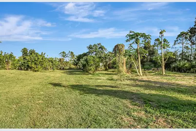 3446 Cabbage Palm Way, Loxahatchee, FL 33470 - Photo 41