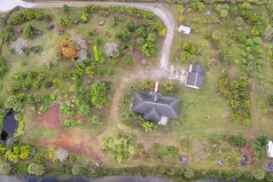 3446 Cabbage Palm Way, Loxahatchee, FL 33470 - Photo 45