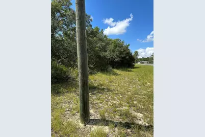 0000 SW 168th Loop, Ocala, FL 34473 - Photo 3
