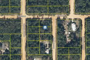 Lot 31 David Ave, Interlachen, FL 32148 - Photo 1
