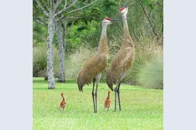 7715 Maywood Crest Drive, West Palm Beach, FL 33412 - Photo 61