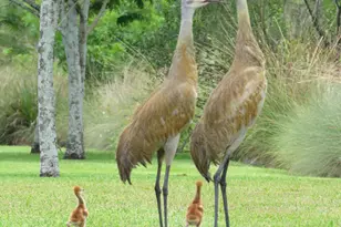 7715 Maywood Crest Dr, West Palm Beach, FL 33412 - Photo 61