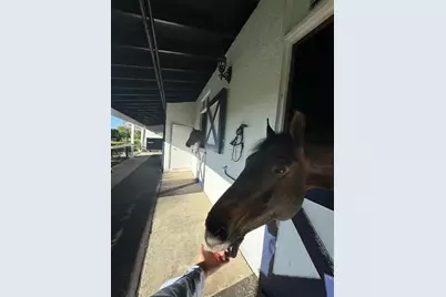 13205 Southfields Road, Wellington, FL 33414 - Photo 7