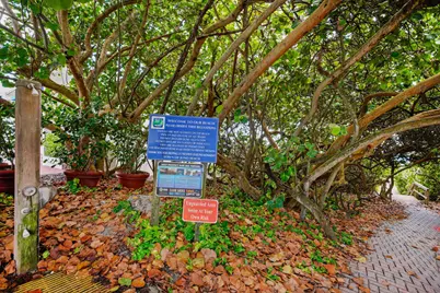 911 Ocean Drive #506, North Palm Beach, FL 33408 - Photo 67