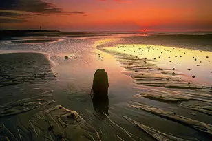 450 Egret Cir, Delray Beach, FL 33444 - Photo 45