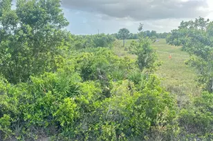 16220 NW 264th St, Okeechobee, FL 34972 - Photo 1