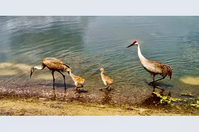 9851 Perfect Drive #151, Port Saint Lucie, FL 34986 - Photo 43