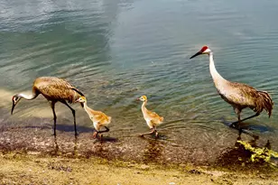 9851 Perfect Dr, Port Saint Lucie, FL 34986 - Photo 43