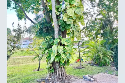 7608 Pinewalk Drive #127, Margate, FL 33063 - Photo 49