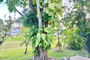 7608 Pinewalk Dr, Margate, FL 33063 - Photo 49