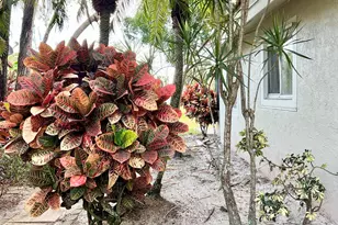 7608 Pinewalk Dr, Margate, FL 33063 - Photo 5