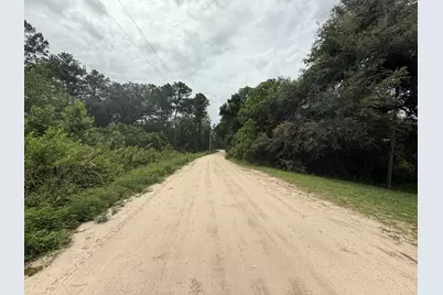 129 Fishermans Drive, Interlachen, FL 32148 - Photo 3