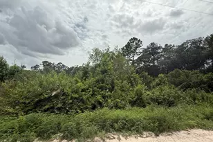 129 Fisherman S Dr, Interlachen, FL 32148 - Photo 1
