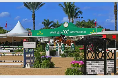 14775 Equestrian Way, Wellington, FL 33414 - Photo 97