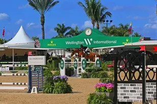 14775 Equestrian Way, Wellington, FL 33414 - Photo 97