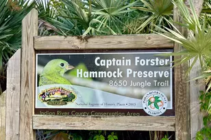 9460 Seagrape Dr, Vero Beach, FL 32963 - Photo 51