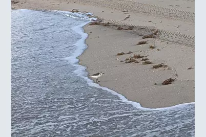 2840 S Ocean Boulevard #6110, Palm Beach, FL 33480 - Photo 31