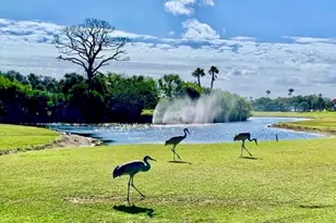 70 Royal Oak Ct, Vero Beach, FL 32962 - Photo 53