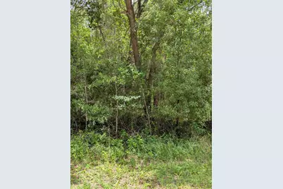 8989 N Conch Terrace, Dunnellon, FL 34434 - Photo 3