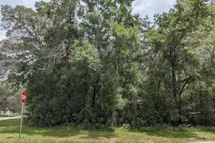 8989 N Conch Terrace, Dunnellon, FL 34434 - Photo 1