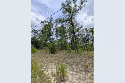 2450 W Rutland Drive, Citrus Springs, FL 34434 - Photo 3