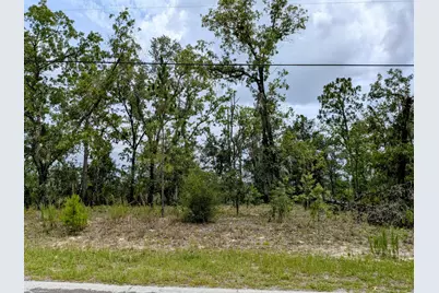 2450 W Rutland Drive, Citrus Springs, FL 34434 - Photo 1