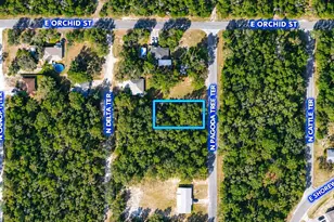 6634 N Pagoda Tree Terrace, Hernando, FL 34442 - Photo 1