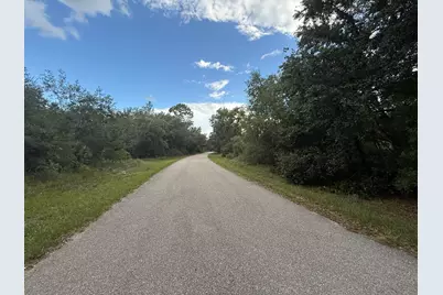 1012 Wildflower Street, Lake Placid, FL 33852 - Photo 11