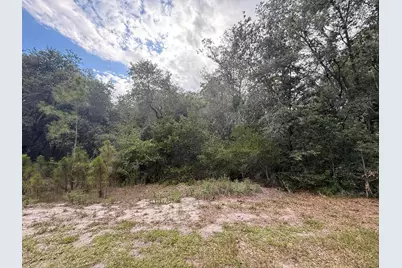 1012 Wildflower Street, Lake Placid, FL 33852 - Photo 3