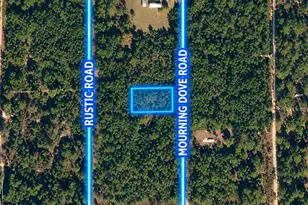 223 Mourning Dove Rd, Satsuma, FL 32189 - Photo 1