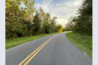 Tbd Twin Lakes Road, Interlachen, FL 32148 - Photo 3